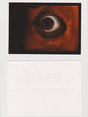 Eye See You POSTCARD (~2000) 5x7
